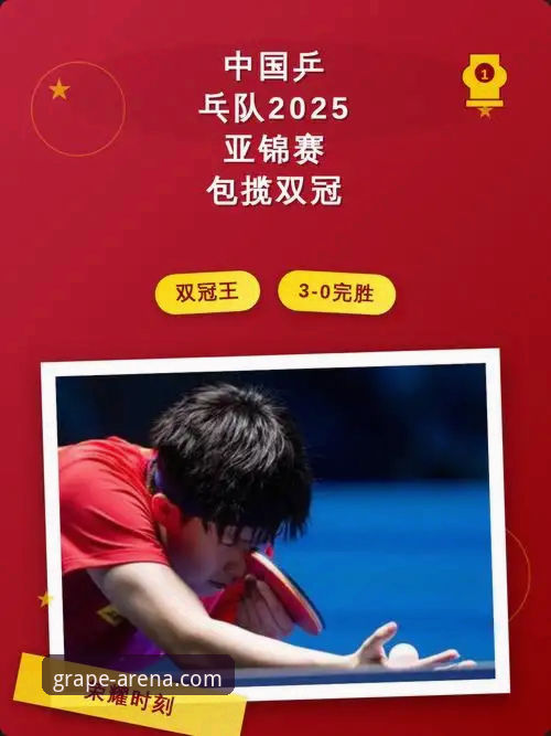 从中国队逆转看乒乓战术：新葡萄棋牌平台赛事深度分析指南