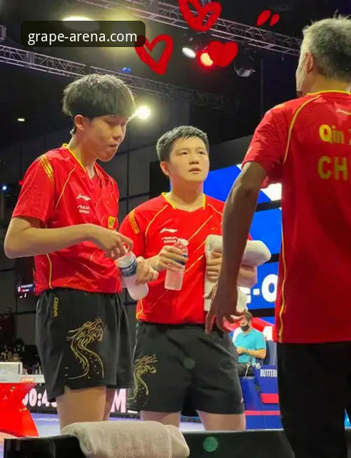 中国男乒世乒赛首战告捷：新葡萄棋牌平台观赛体验与赛事深度分析指南